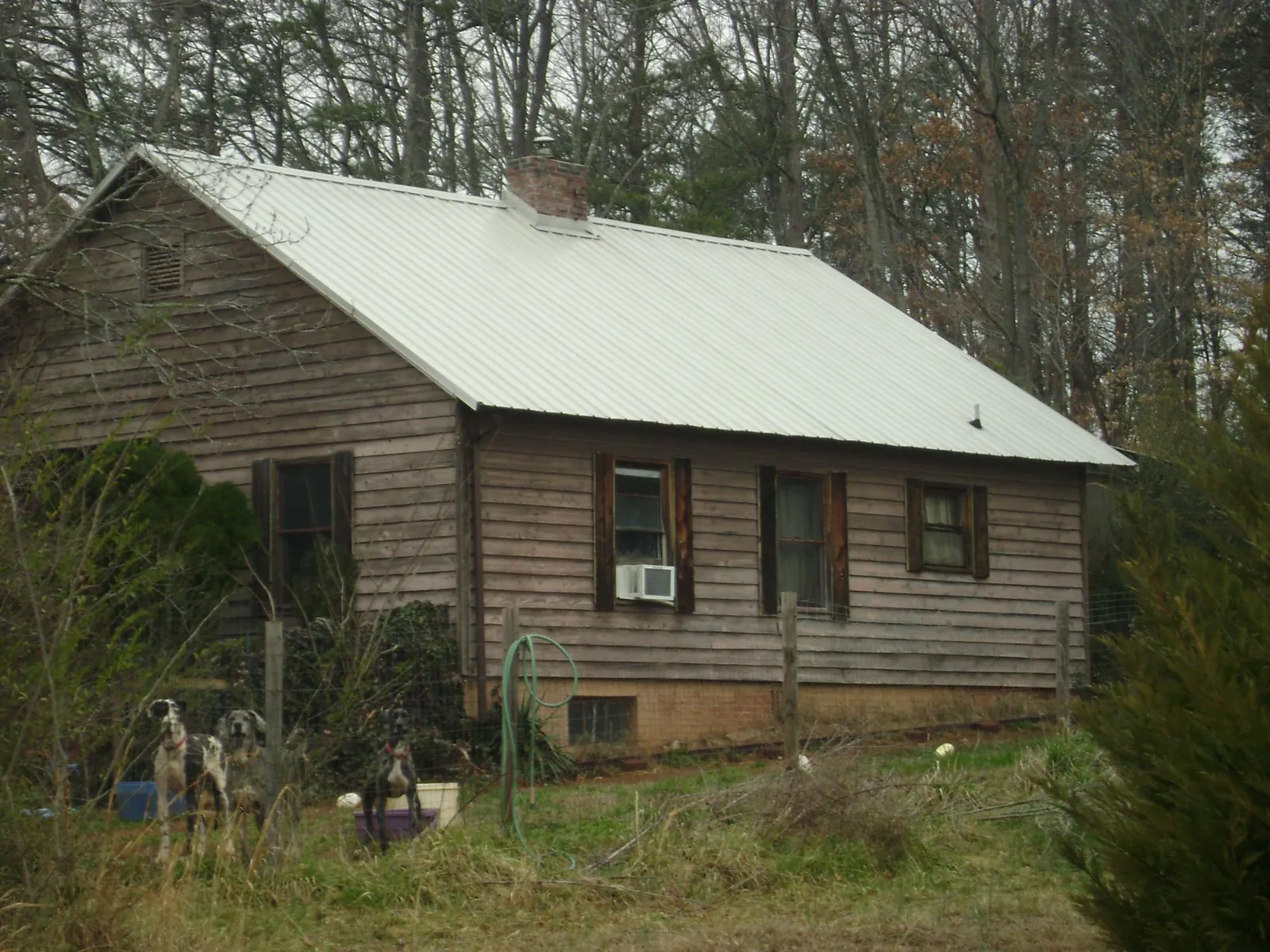 White metal roof on an old wood sided farmhouse, from a Asphalt Shingle Roof Repair job in Lake City